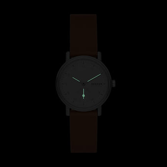 Skagen SKW3103 Kuppel Lille Brown Leather Ladies Watch