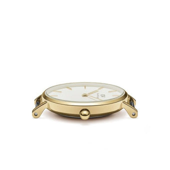 Daniel Wellington Petite Evergold DW00100350
