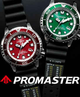 Authorized citizen sales watch dealer