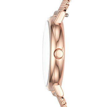 Skagen Signature Lille Slim SKW2694