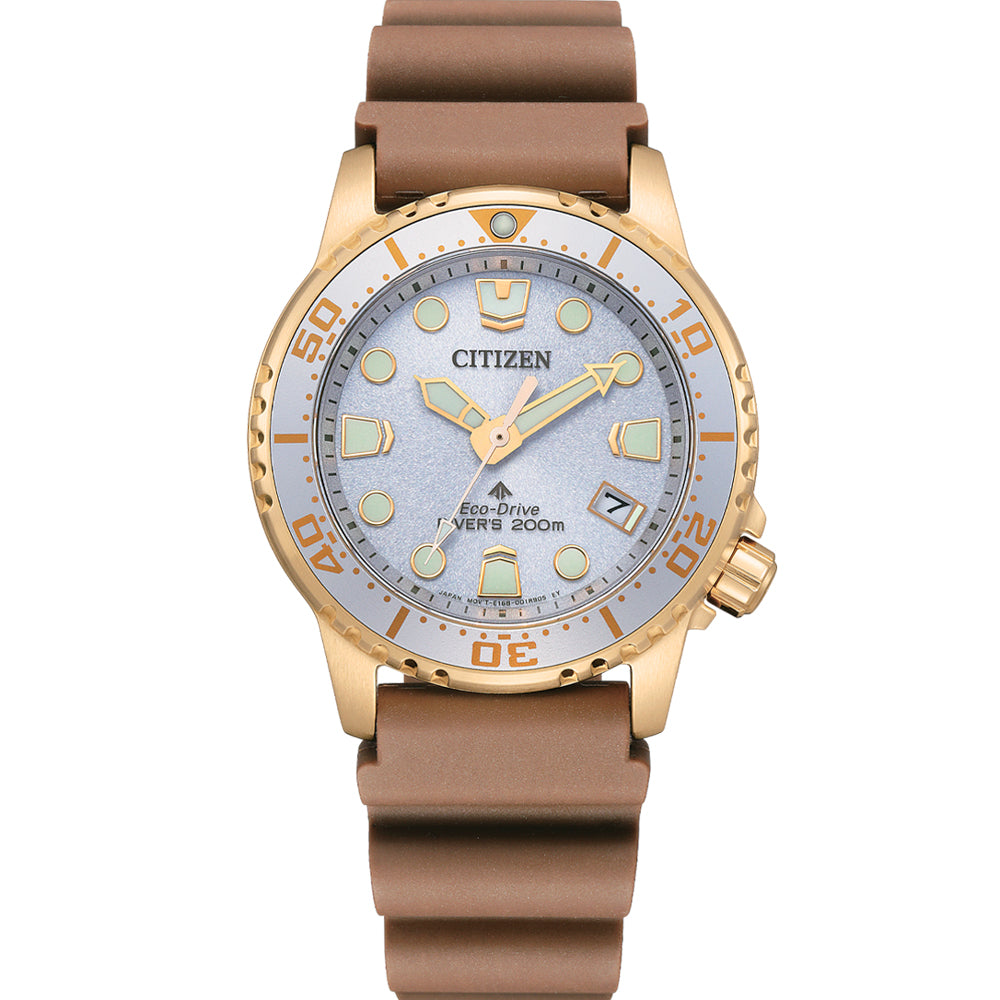 Citizen EO2022-02A Promaster Marine Divers Watch