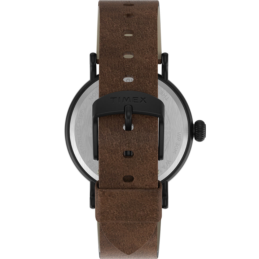 Timex TW2T69300 "Standard" Watch