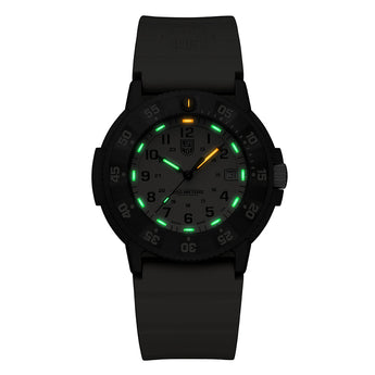 Luminox Original Navy SEAL XS.3010.EVO.S