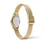 Daniel Wellington Ophelia Mini Mesh DW00100939