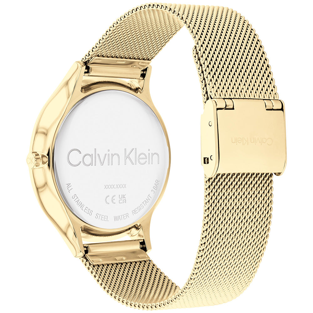 Calvin Klein 25200003 Timeless Mesh Womens Watch